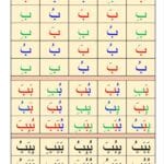 photo_2025-12-19_11-58-59